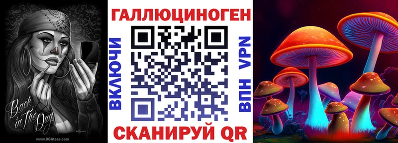 как найти   Новотроицк  Псилоцибиновые грибы ЛСД 